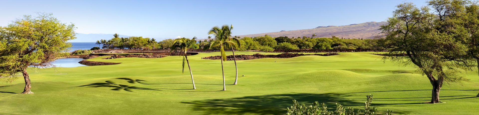 large lawn with view of ocean