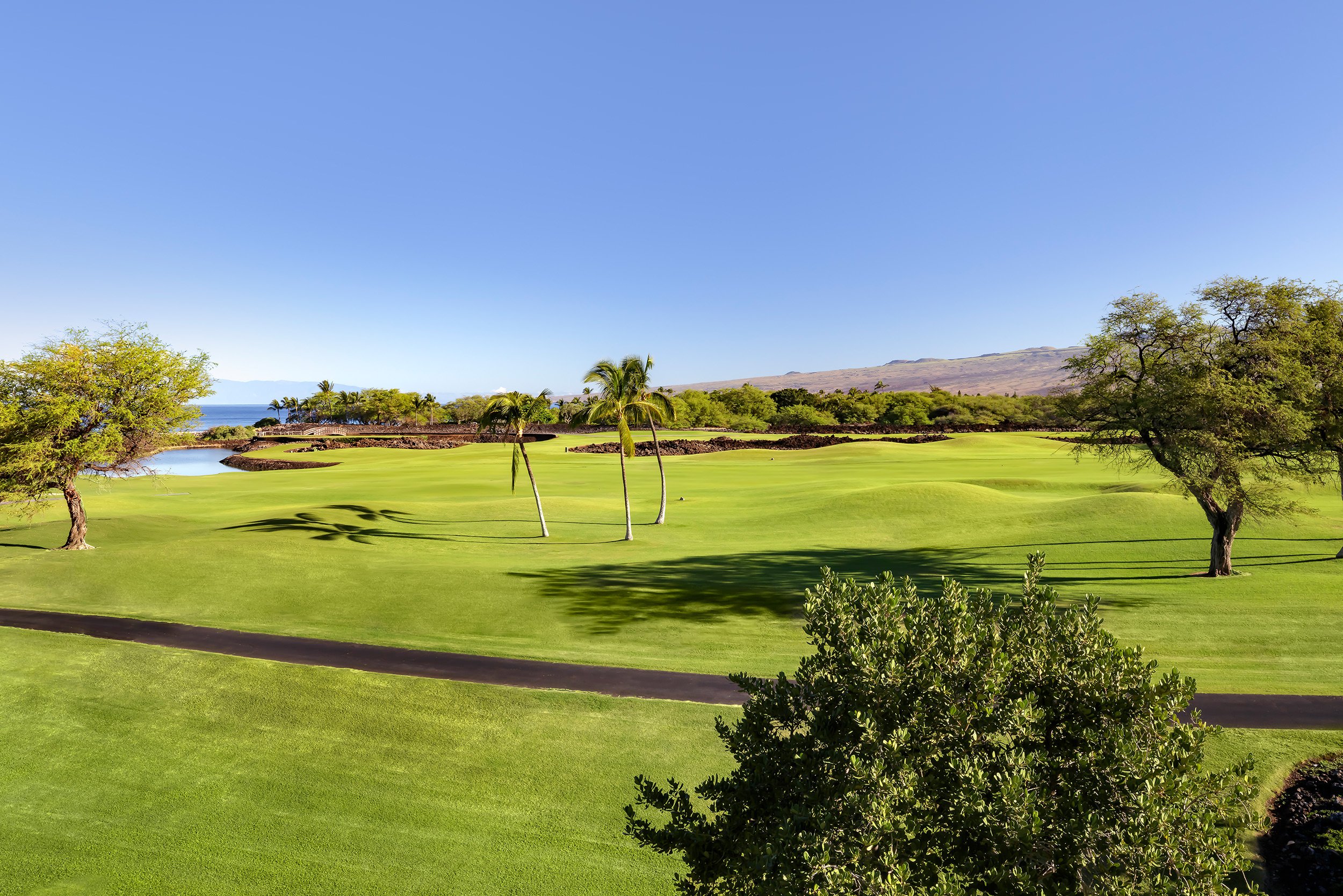 large lawn with view of ocean