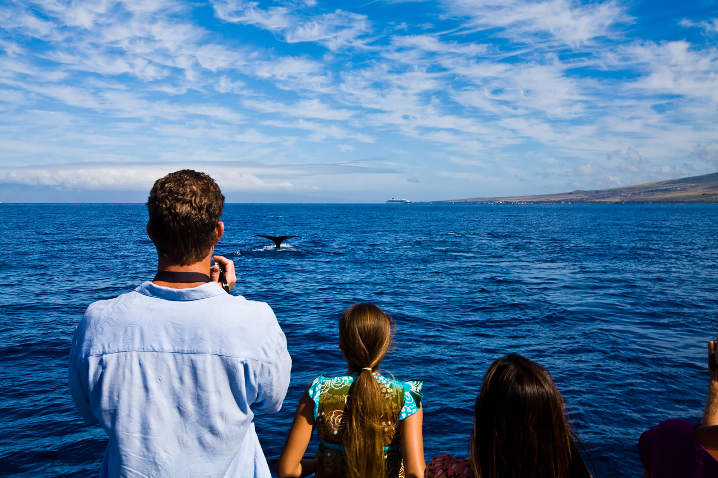 people whale watching