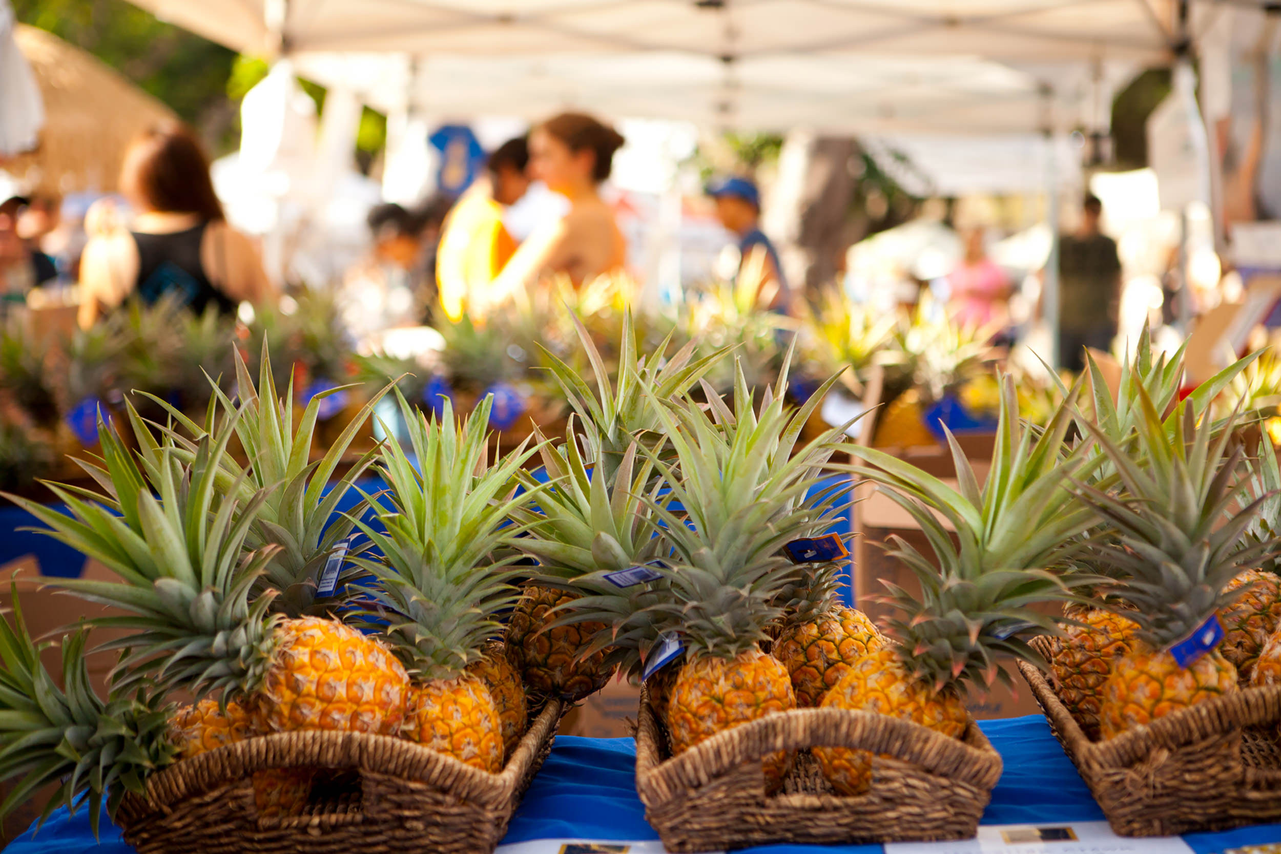 baskets of pineapple
