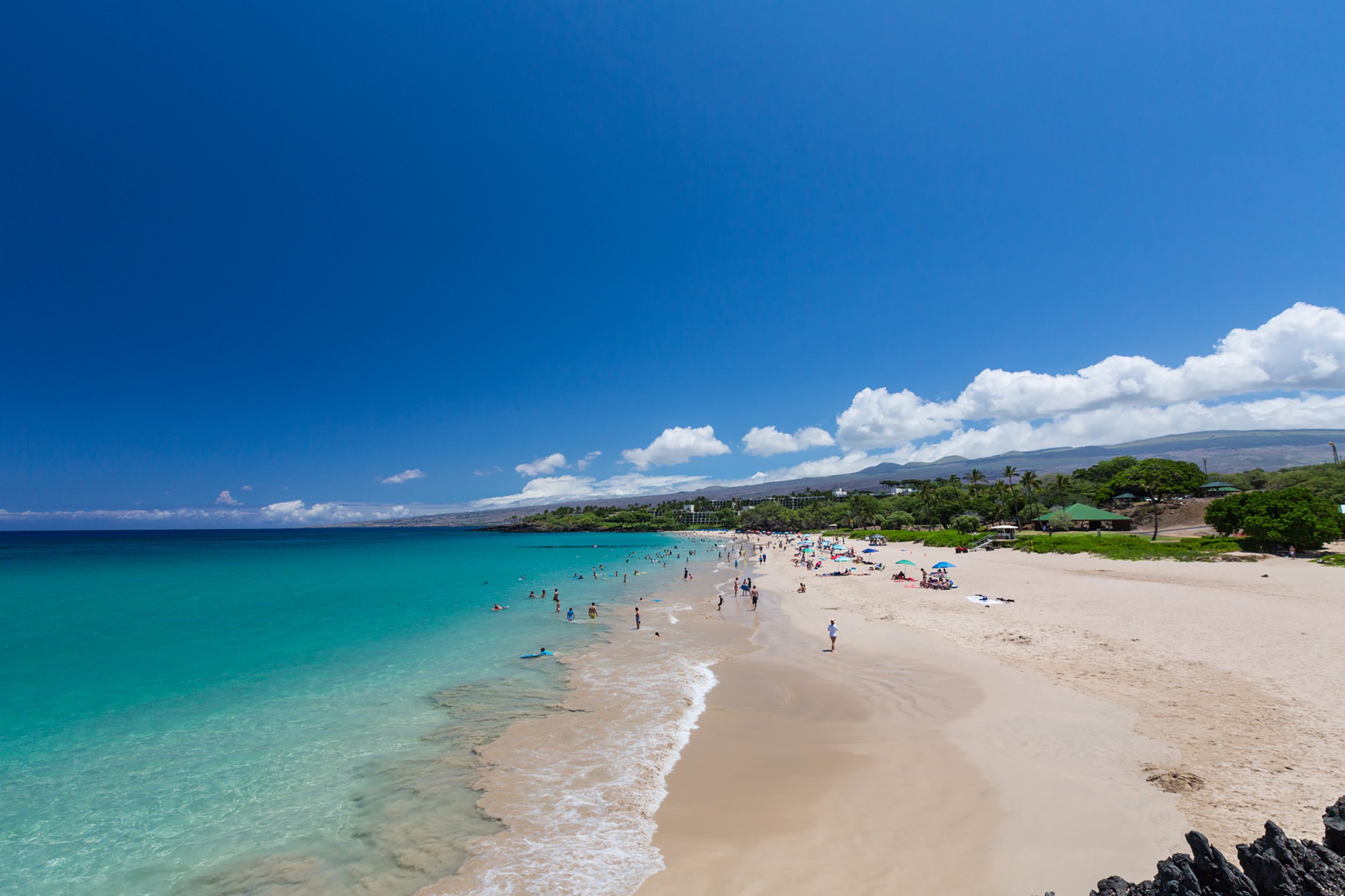 people swimming and lounging on the beach