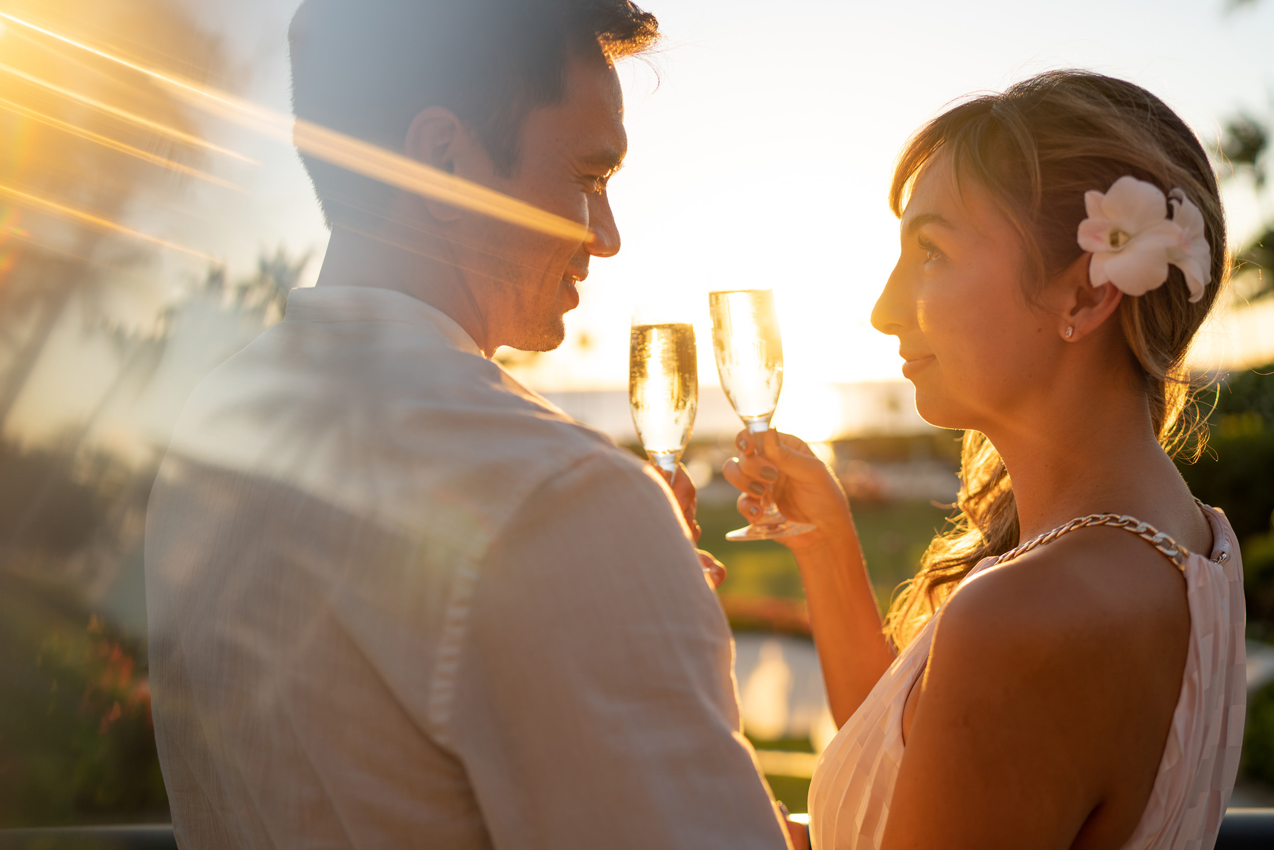 a couple making a toast during sunset