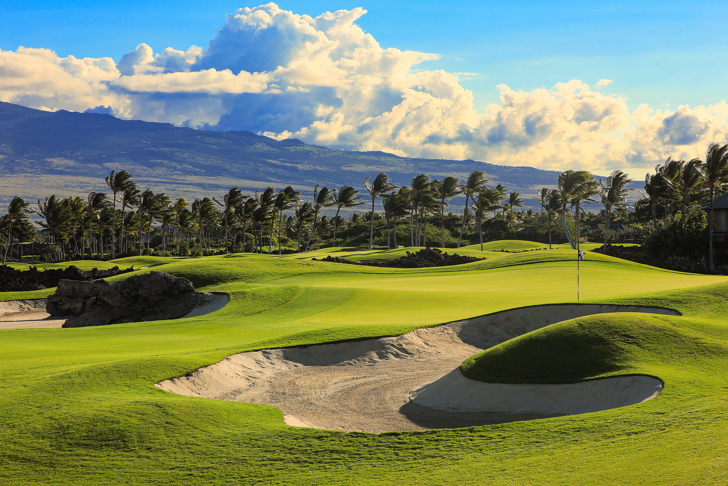 gold course