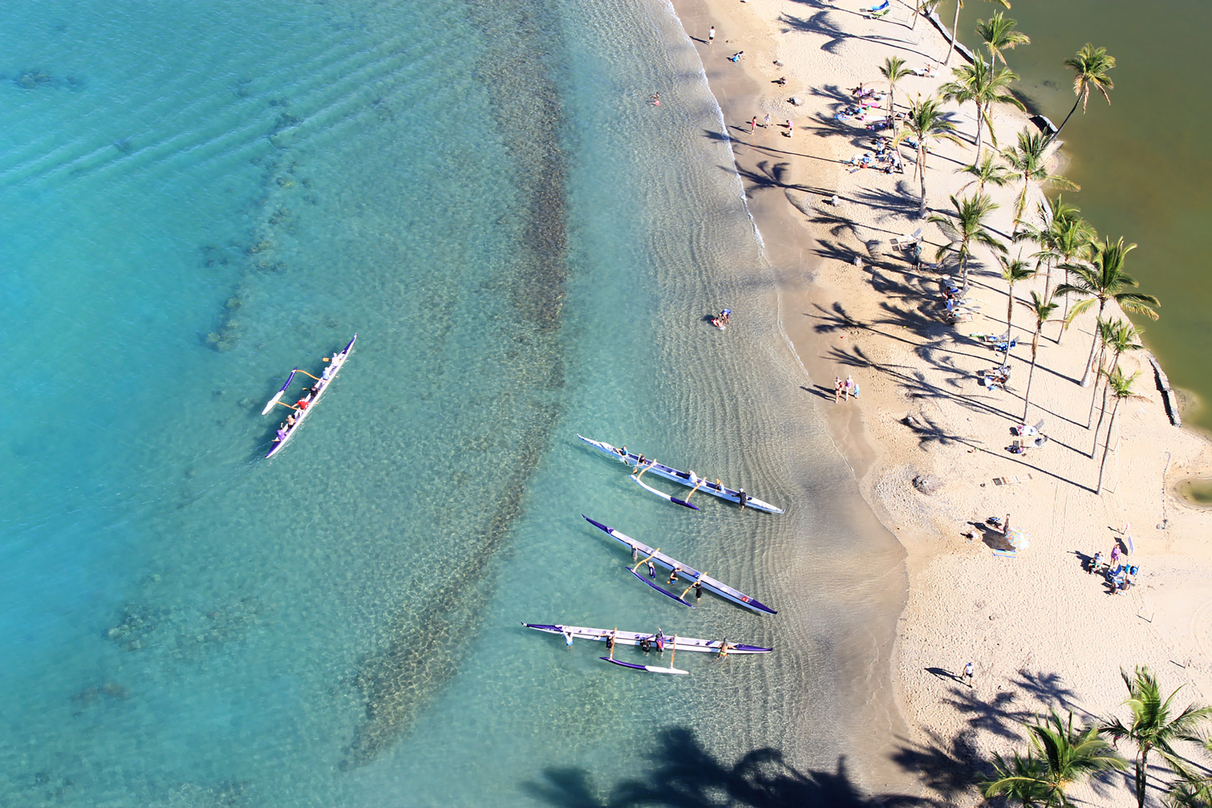 aerial of people canoeing in the ocean