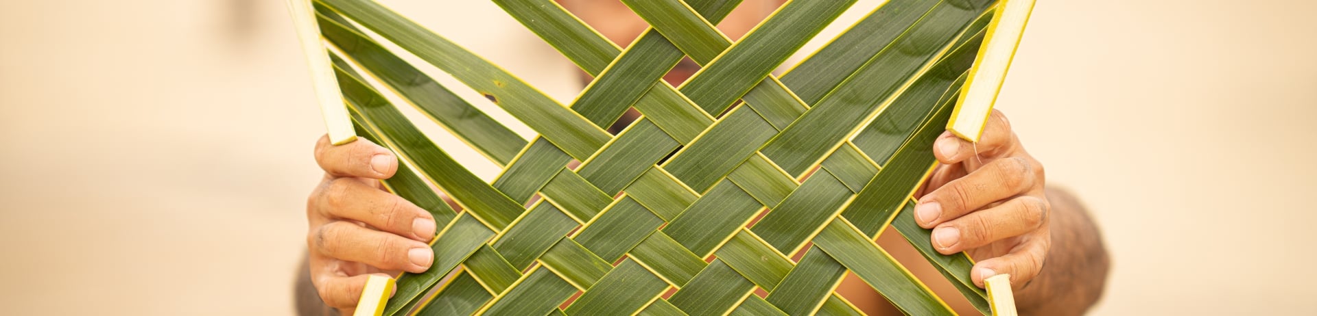 Man holding up palm weaving