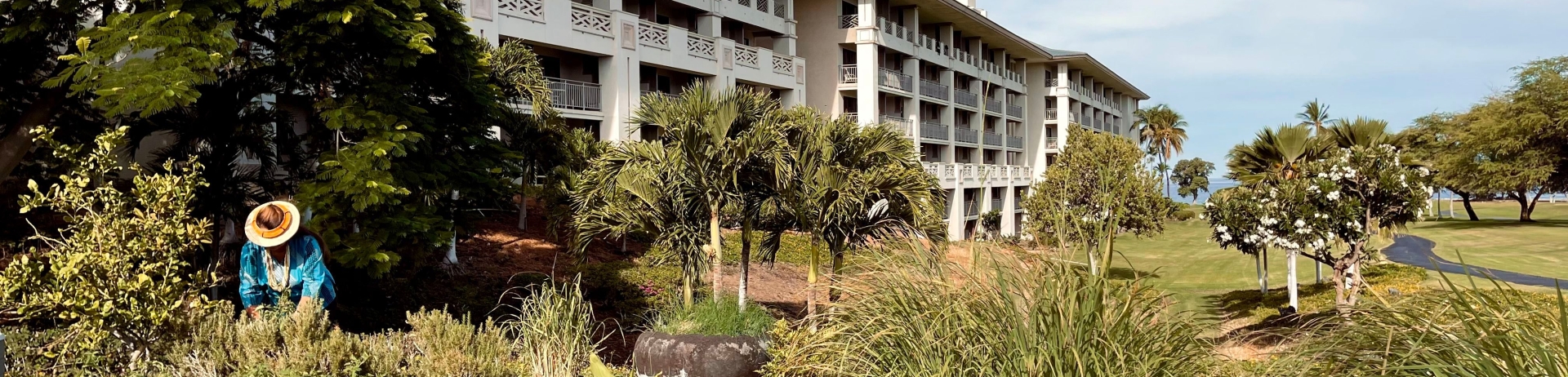 Person working in a garden