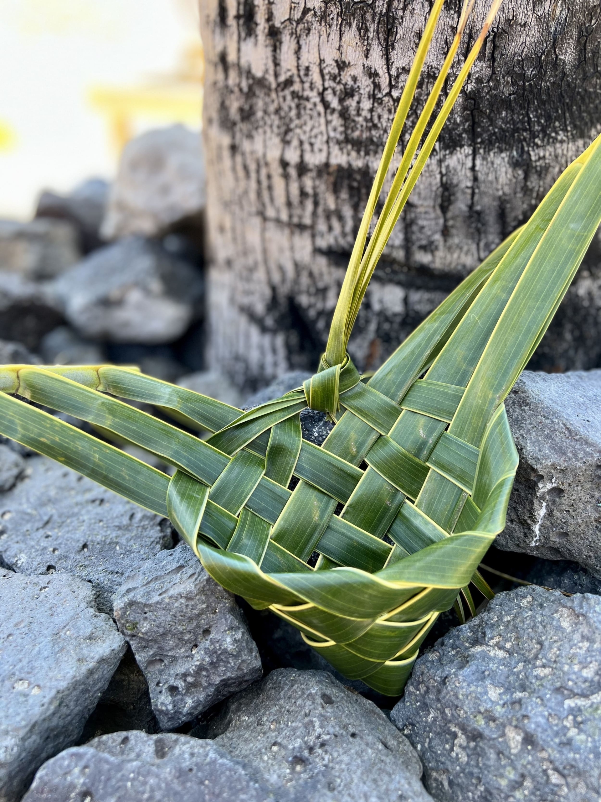 woven fronds