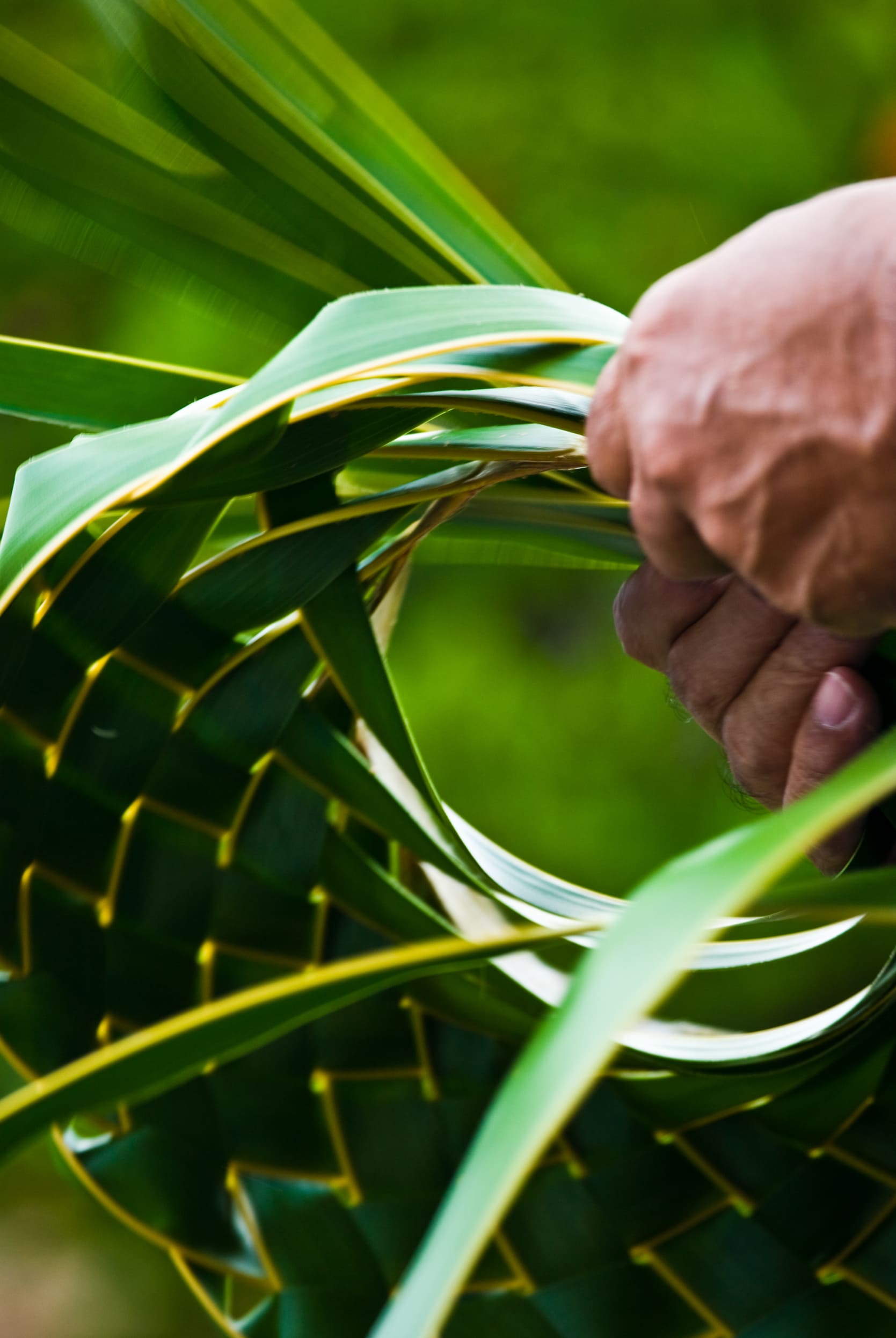person weaving coconut frond