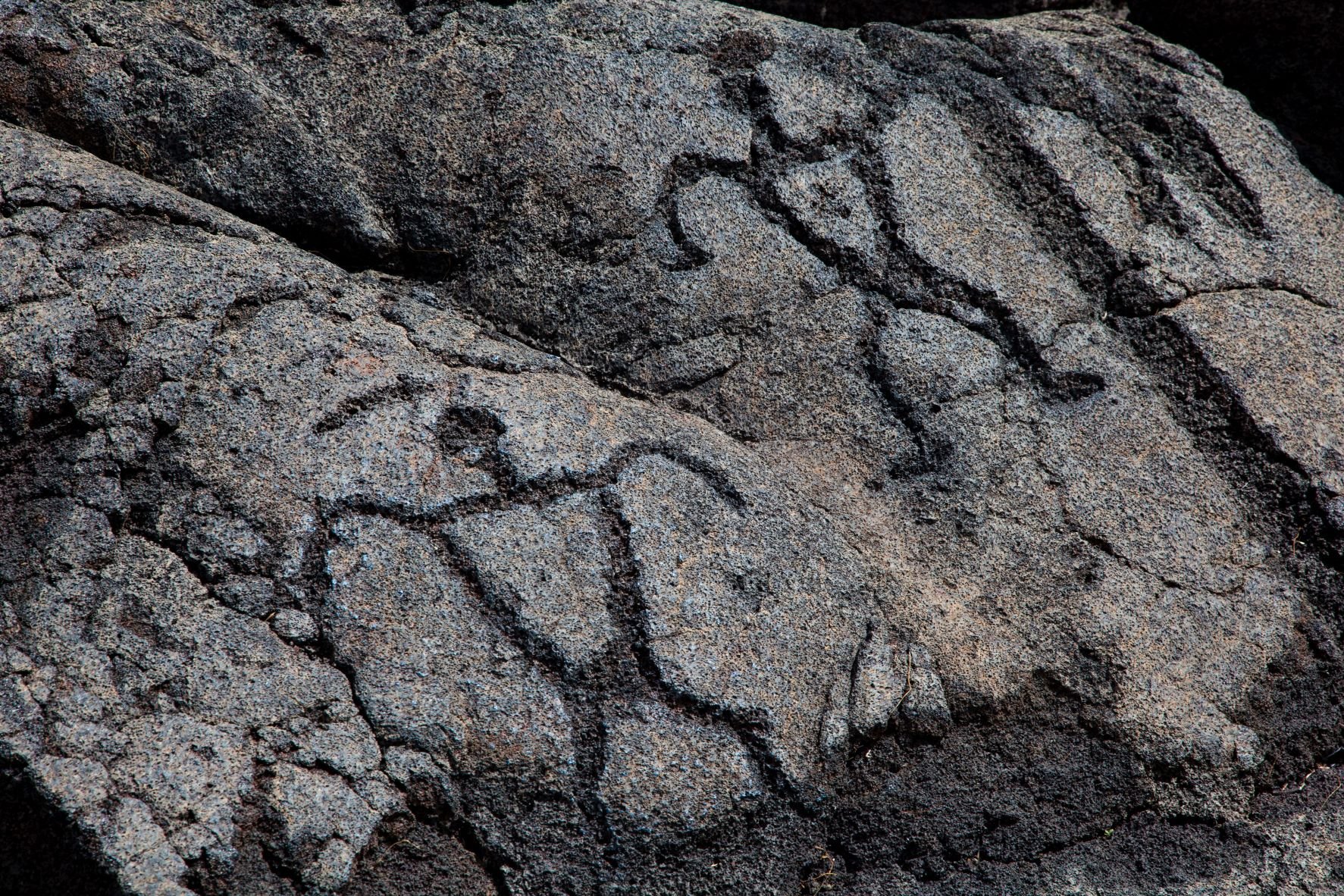 Petrogyph (lava etchings)