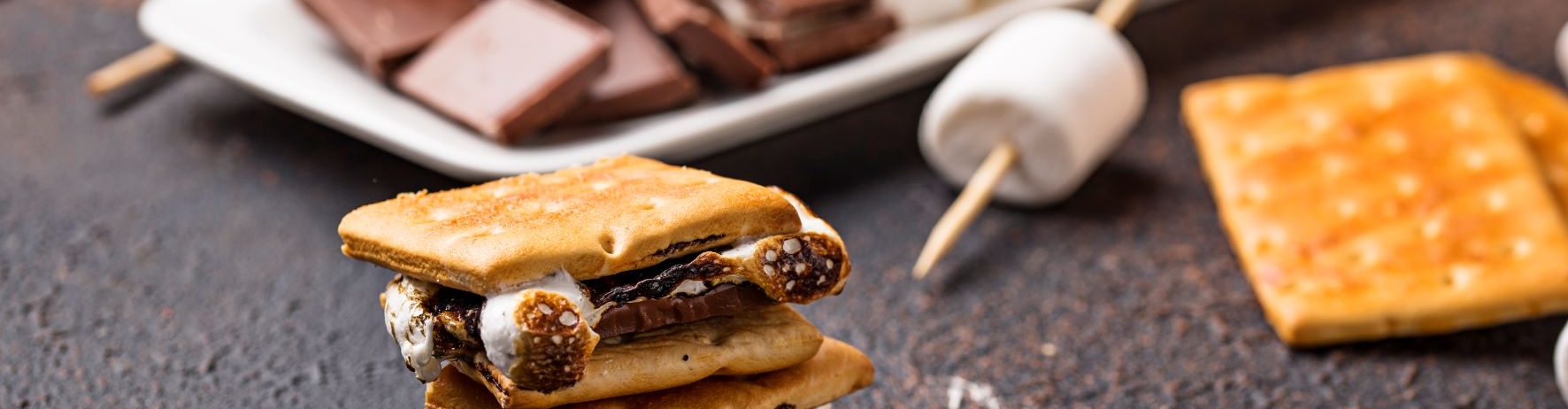 smore with chocolate, marshmallows and graham crackers