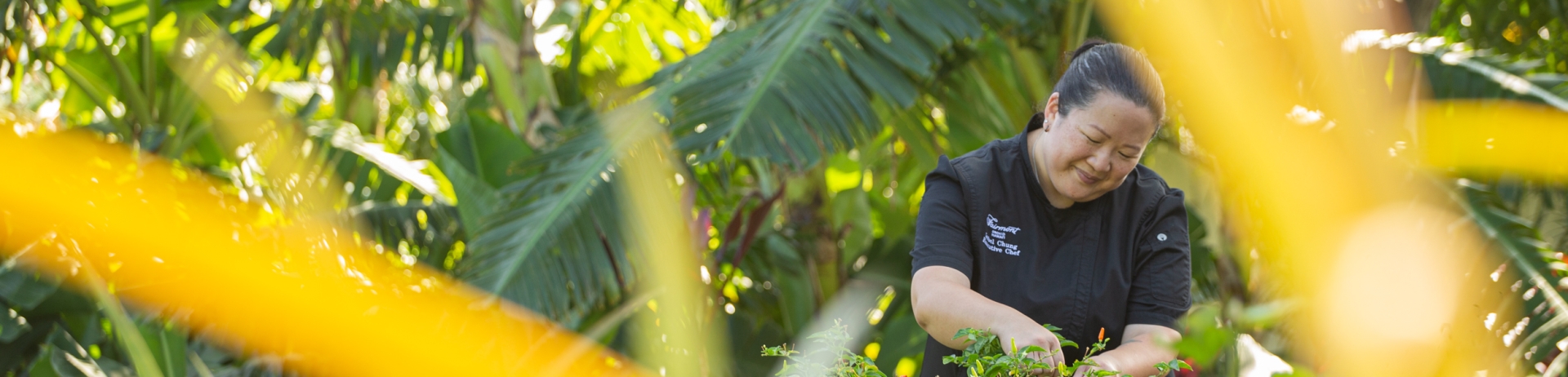 Chef Isabel working in a garden