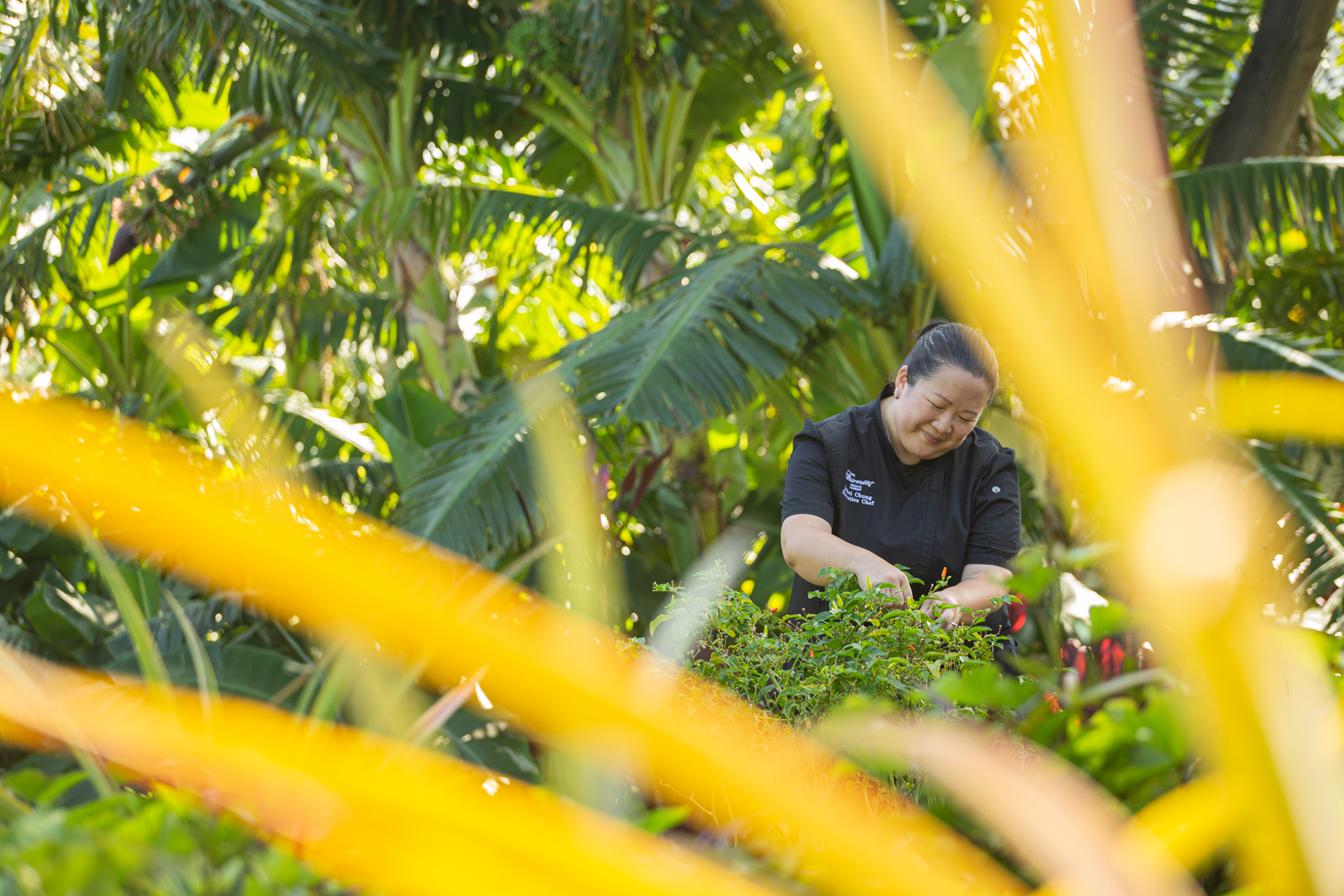 Chef Isabel working in a garden