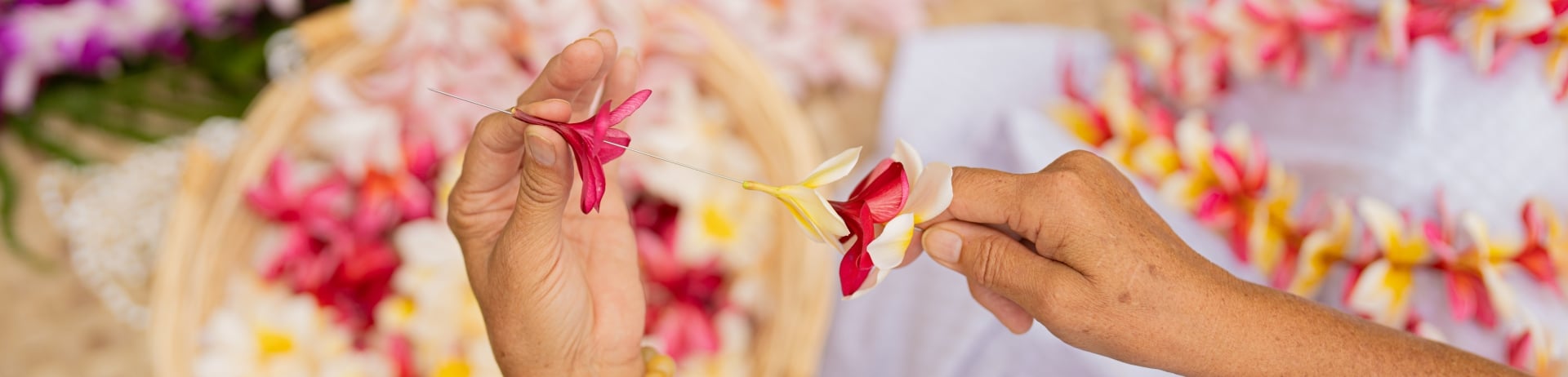 Close up of hands stringing a plumeria lei